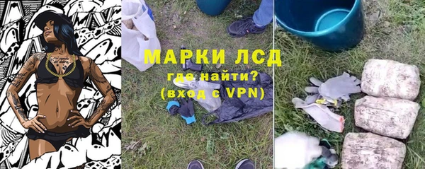 спайс Арсеньев