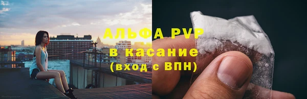 стафф Аркадак