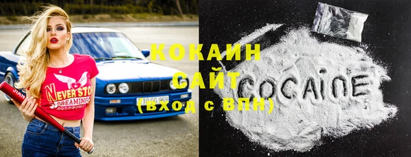 стафф Аркадак