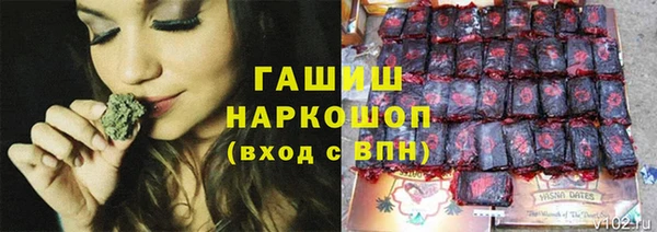 спайс Арсеньев