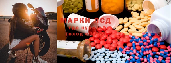 стафф Аркадак