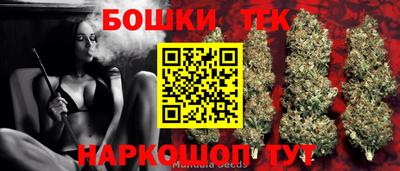 индика Рыбинск