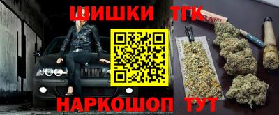 индика Рыбинск